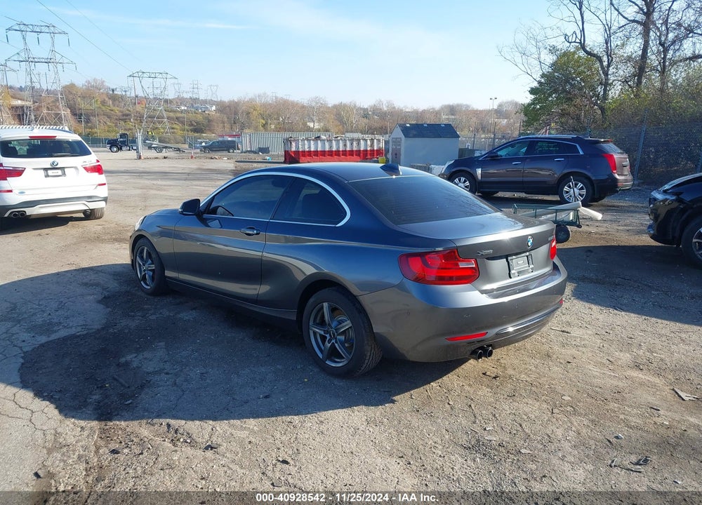 2015 BMW 228I VIN: WBA1G9C5XFVX96793