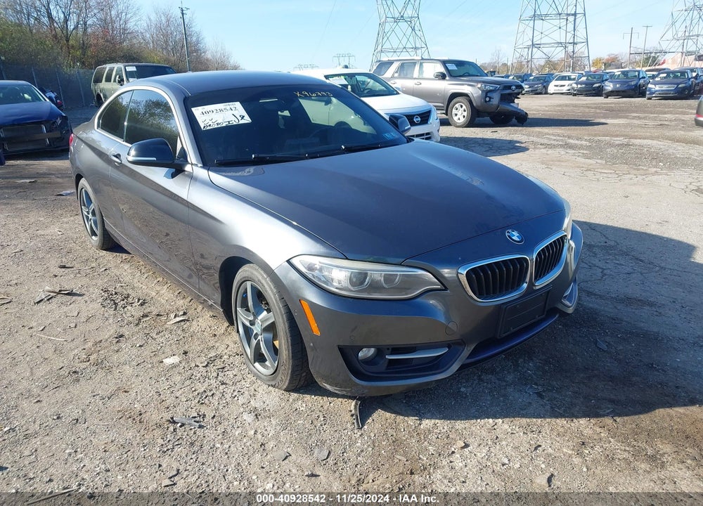 2015 BMW 228I VIN: WBA1G9C5XFVX96793