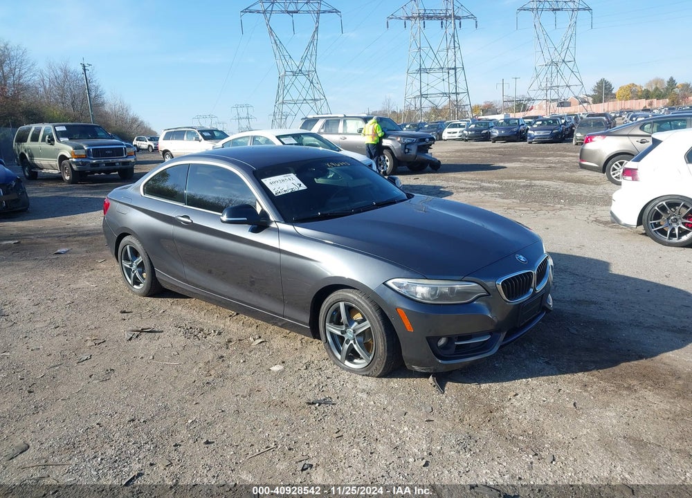 2015 BMW 228I VIN: WBA1G9C5XFVX96793