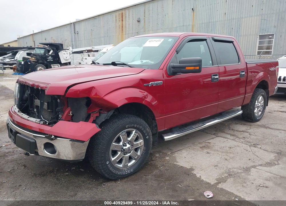 2014 FORD F-150 XLT VIN: 1FTFW1EF6EFA44424