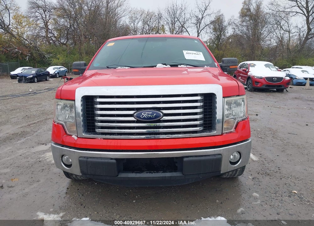 2011 FORD F-150 XLT VIN: 1FTFX1CFXBFB82415