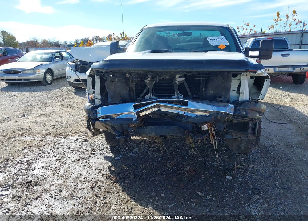 2010 CHEVROLET SILVERADO 2500HD WORK TRUCK VIN: 1GC3CVBG7AF156854