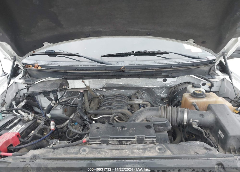 2012 FORD F-150 VIN: 1FTFW1CFXCFC39393