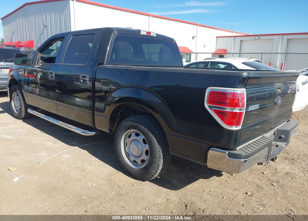 2010 FORD F-150 VIN: 1FTEW1C83AFD55061