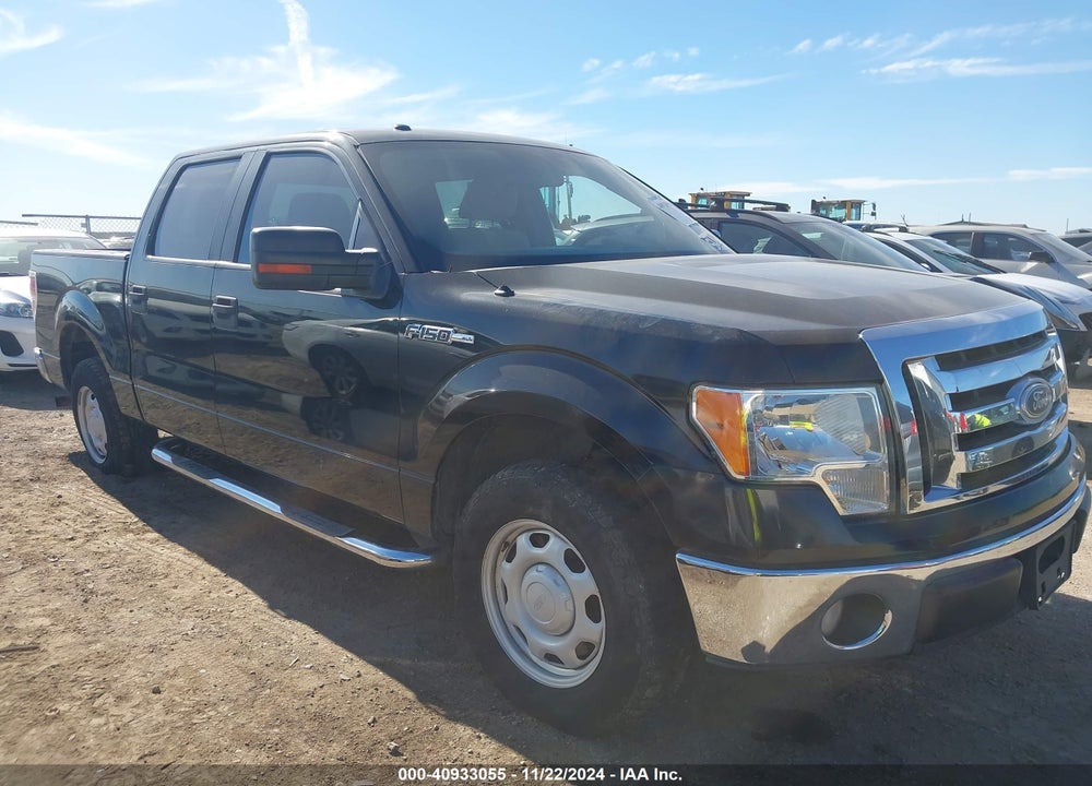 2010 FORD F-150 VIN: 1FTEW1C83AFD55061