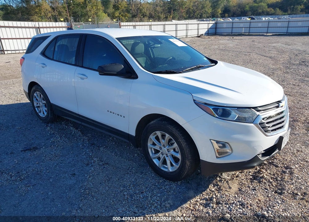 2019 CHEVROLET EQUINOX LS VIN: 2GNAXHEV8K6104711