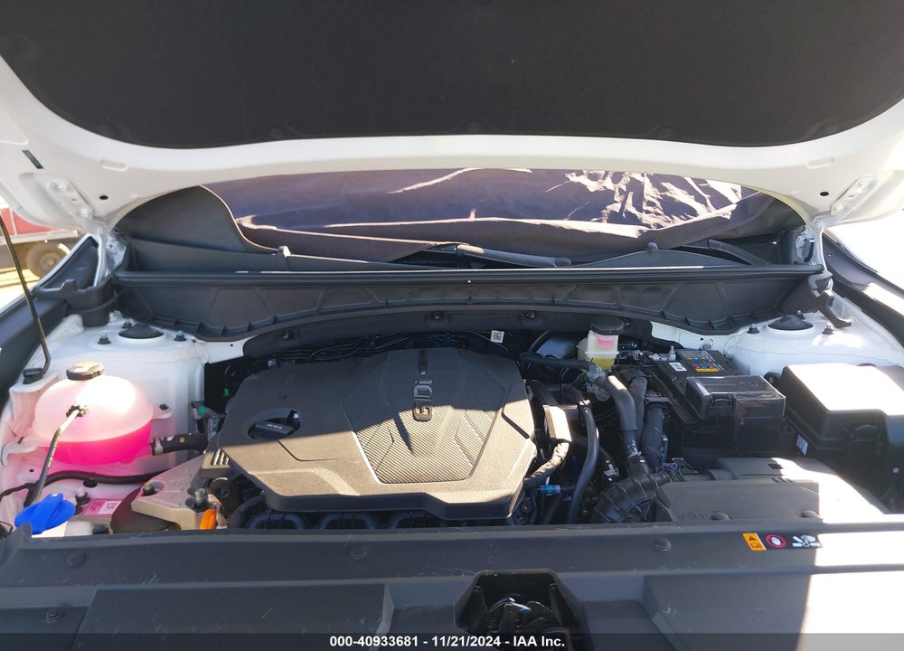2024 HYUNDAI SANTA CRUZ SEL VIN: 5NTJBDDE5RH119014