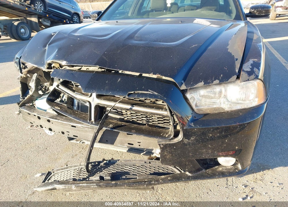 2014 DODGE CHARGER VIN: 2C3CDXJGXEH308466