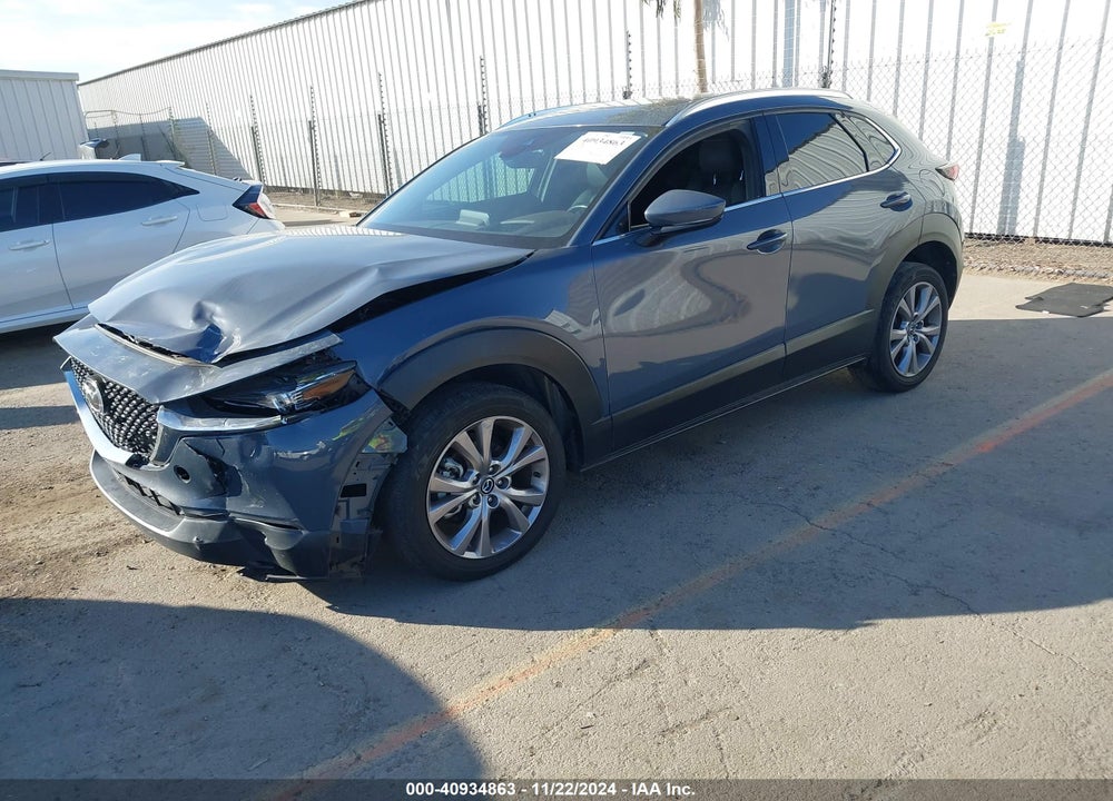 2021 MAZDA CX-30 PREMIUM VIN: 3MVDMADL9MM256221