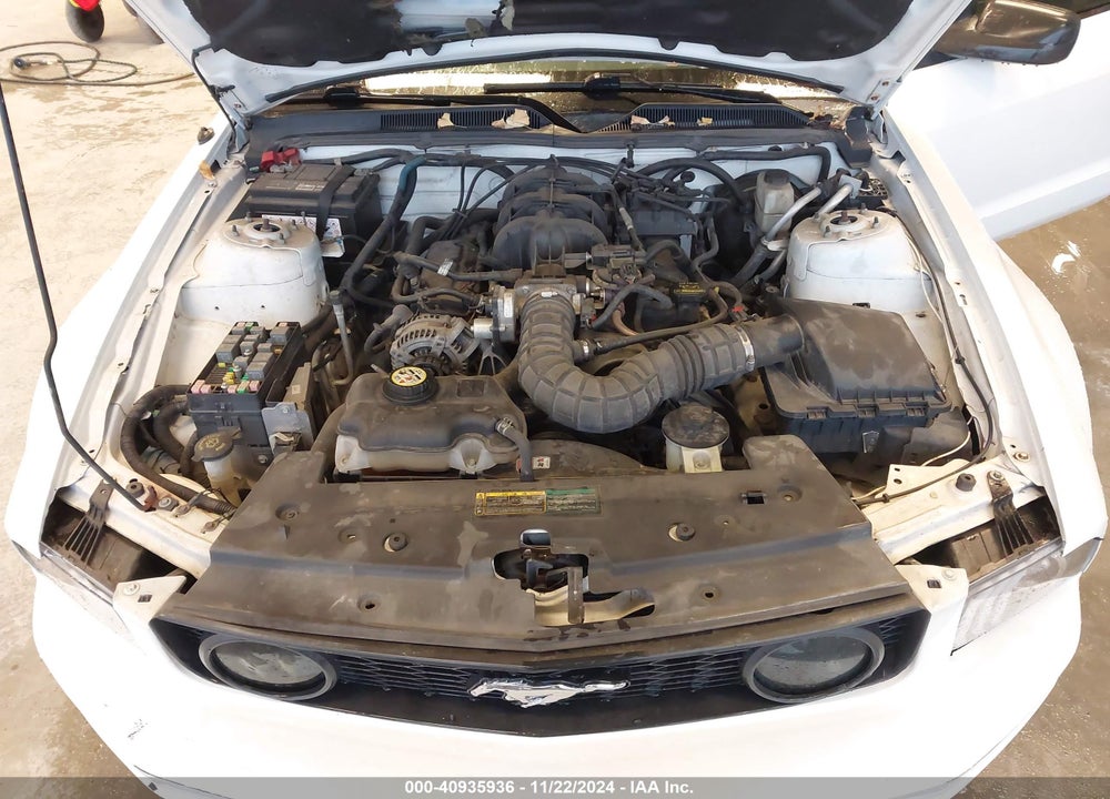 2009 FORD MUSTANG V6/V6 PREMIUM VIN: 1ZVHT80N095128434