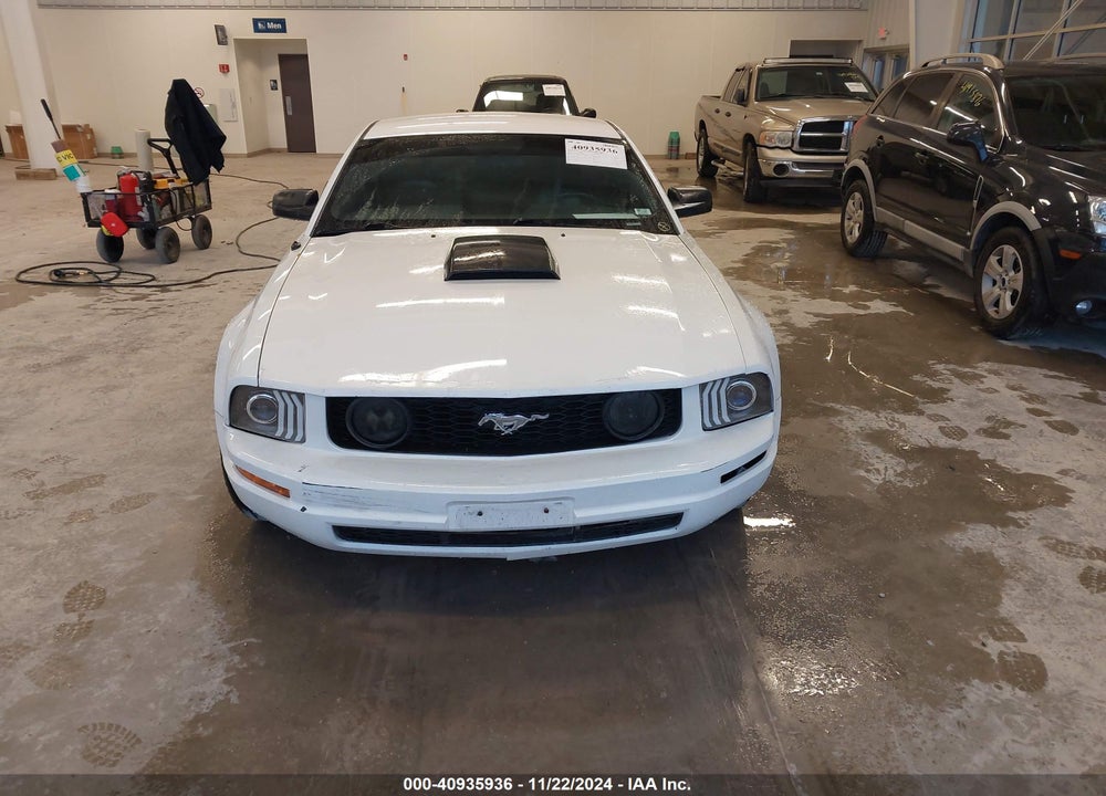 2009 FORD MUSTANG V6/V6 PREMIUM VIN: 1ZVHT80N095128434