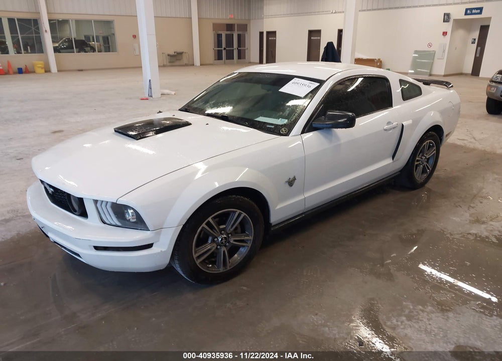 2009 FORD MUSTANG V6/V6 PREMIUM VIN: 1ZVHT80N095128434