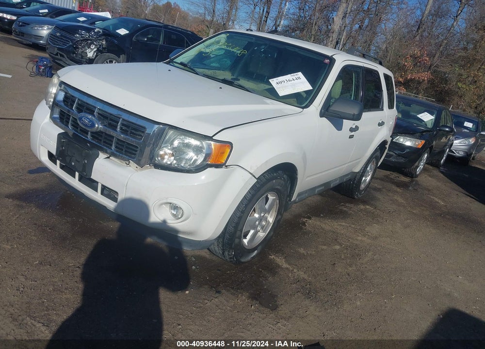 2011 FORD ESCAPE XLT VIN: 1FMCU0D76BKA88029