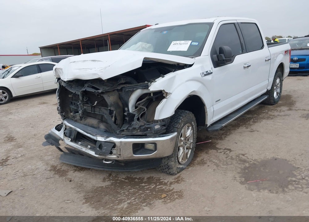 2016 FORD F-150 XLT VIN: 1FTEW1EP2GKE30062