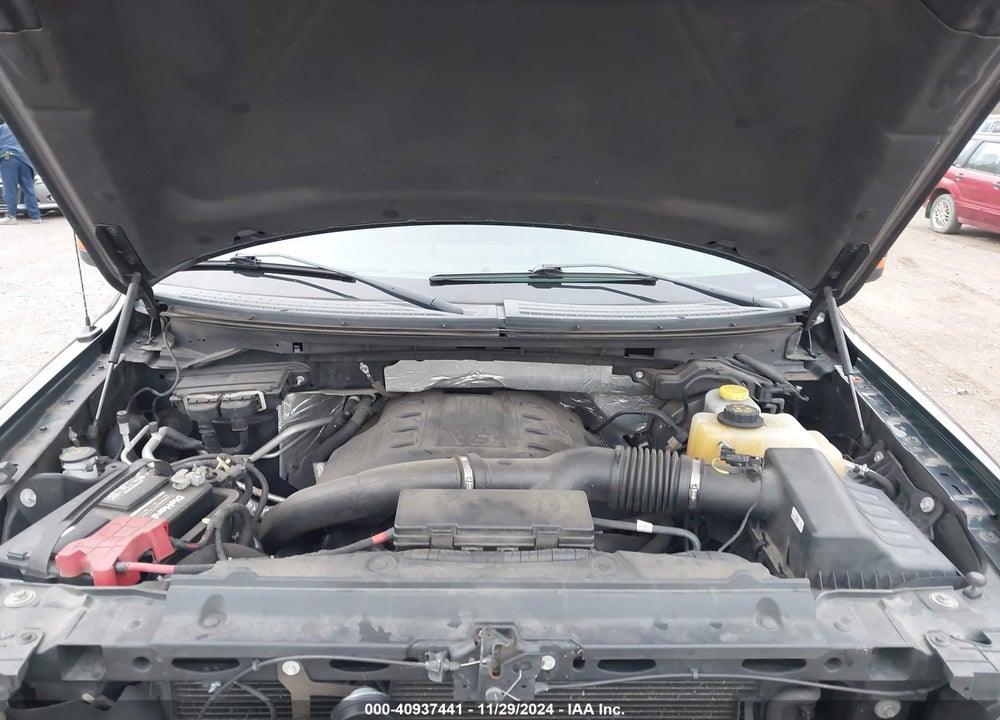 2014 FORD F-150 XLT VIN: 1FTFW1ET4EFC25317