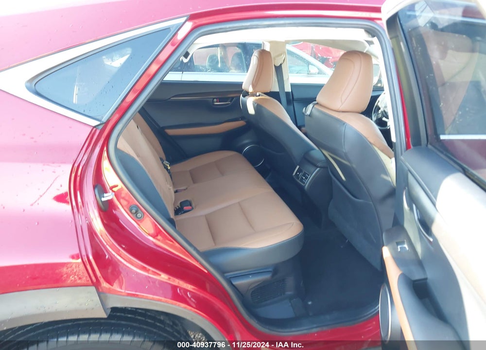 2020 LEXUS NX 300 VIN: JTJAARBZXL2164699