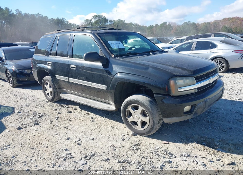 2002 CHEVROLET TRAILBLAZER LT VIN: 1GNDS13S922510215