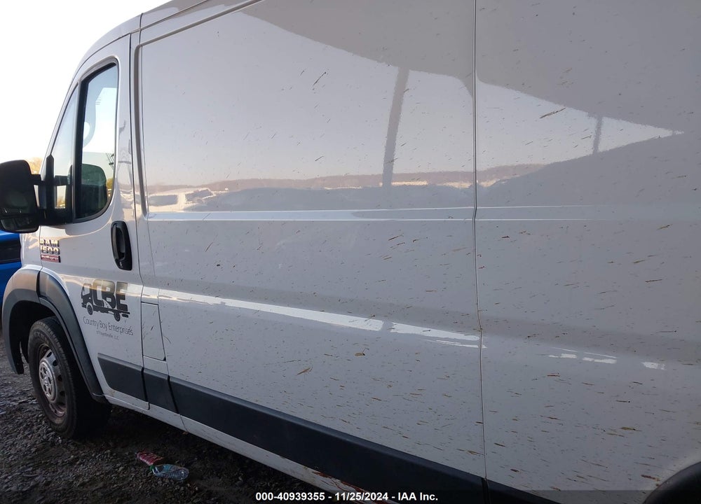 2019 RAM PROMASTER 1500 VIN: 3C6TRVAG0KE509065