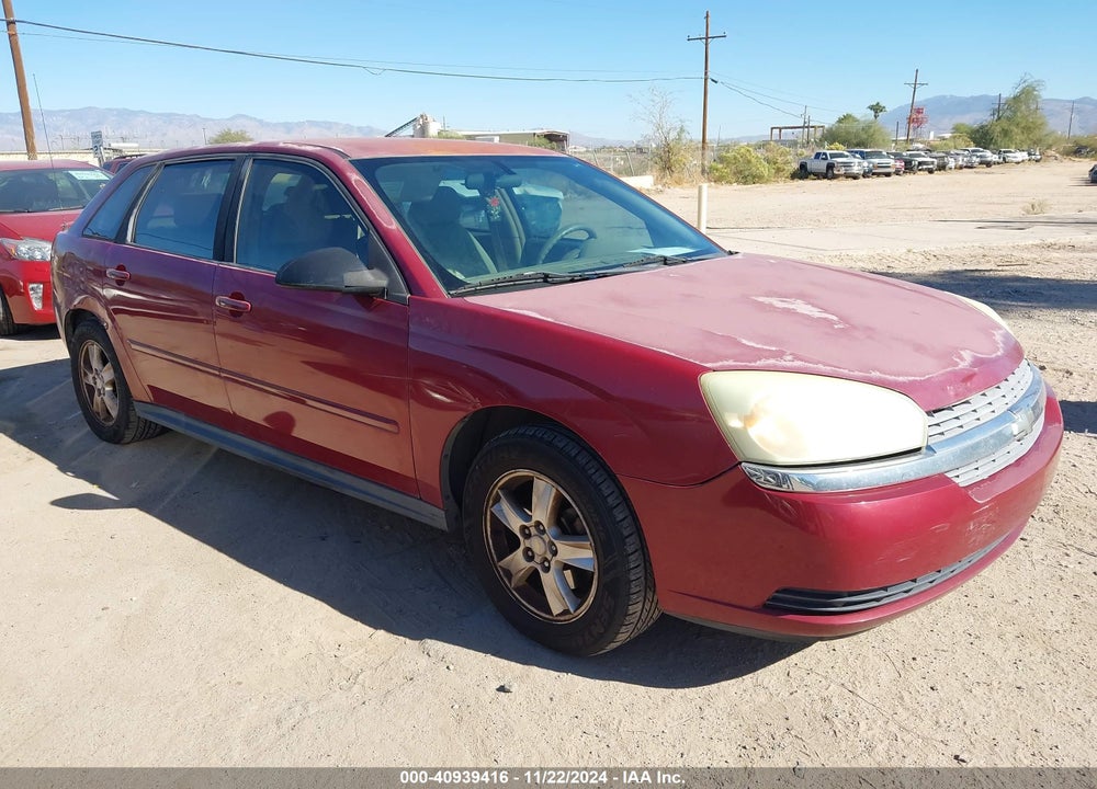 2004 CHEVROLET MALIBU MAXX LS VIN: 1G1ZT64834F219676