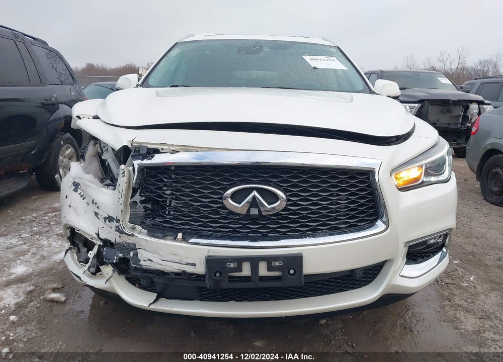 2019 INFINITI QX60 LUXE VIN: 5N1DL0MM3KC560677