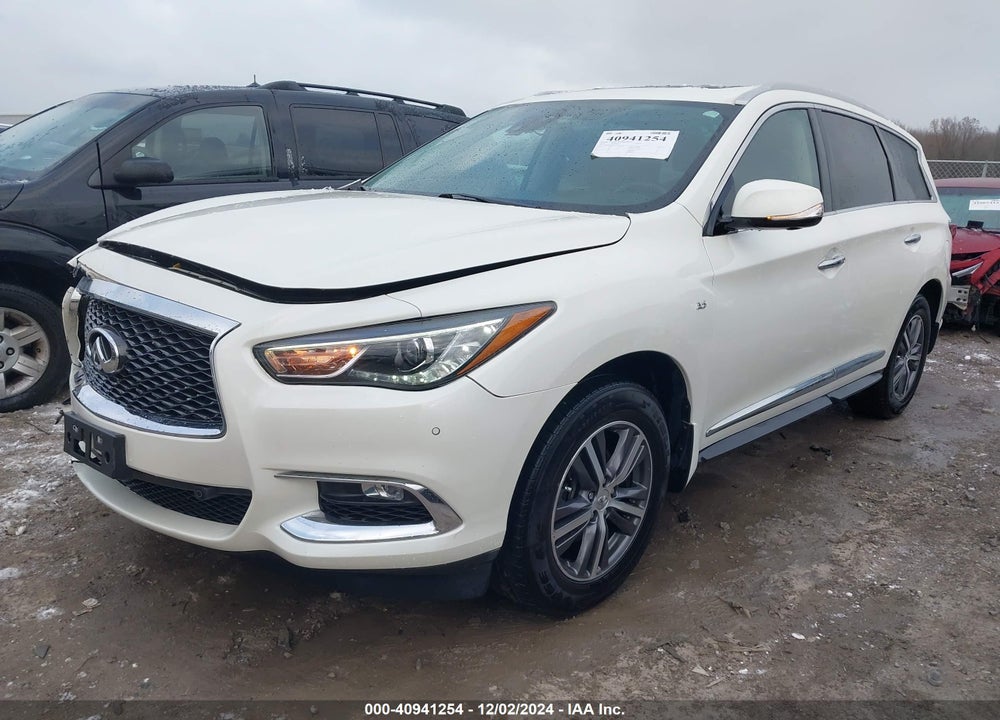 2019 INFINITI QX60 LUXE VIN: 5N1DL0MM3KC560677