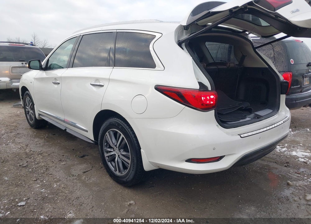 2019 INFINITI QX60 LUXE VIN: 5N1DL0MM3KC560677