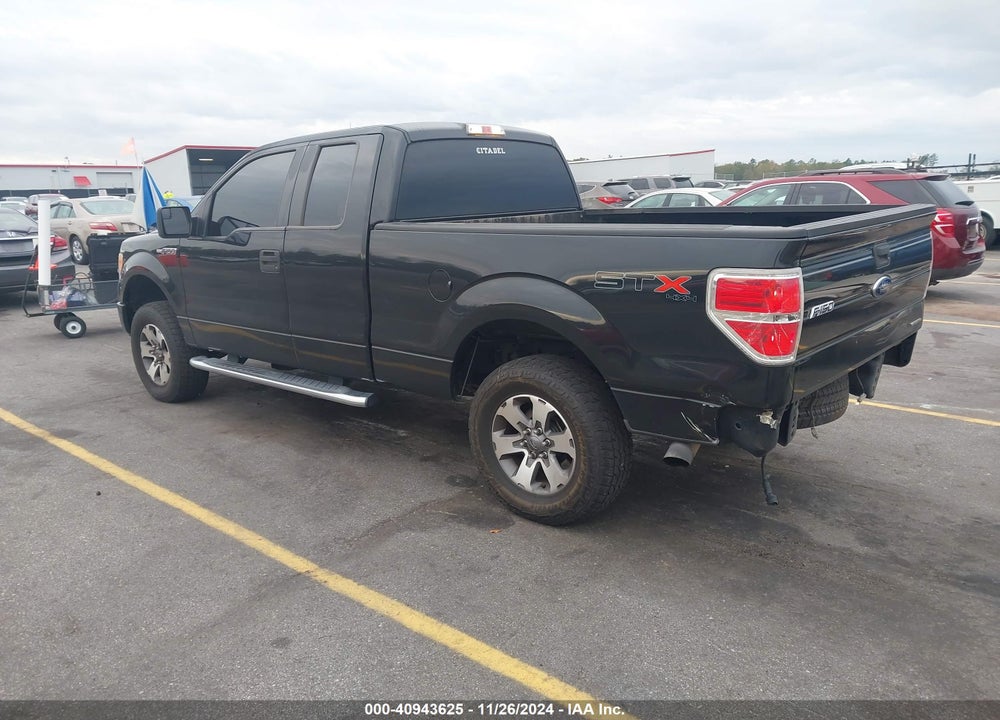 2013 FORD F-150 VIN: 1FTFX1EF1DFA09561