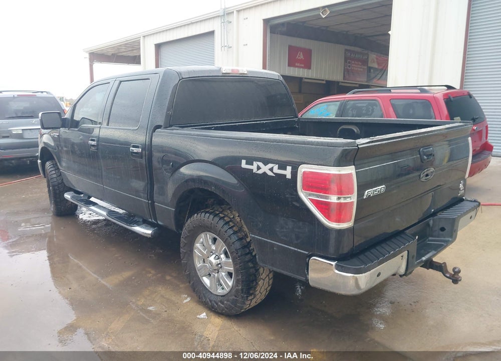 2010 FORD F-150 VIN: 1FTFW1EVXAFA09063