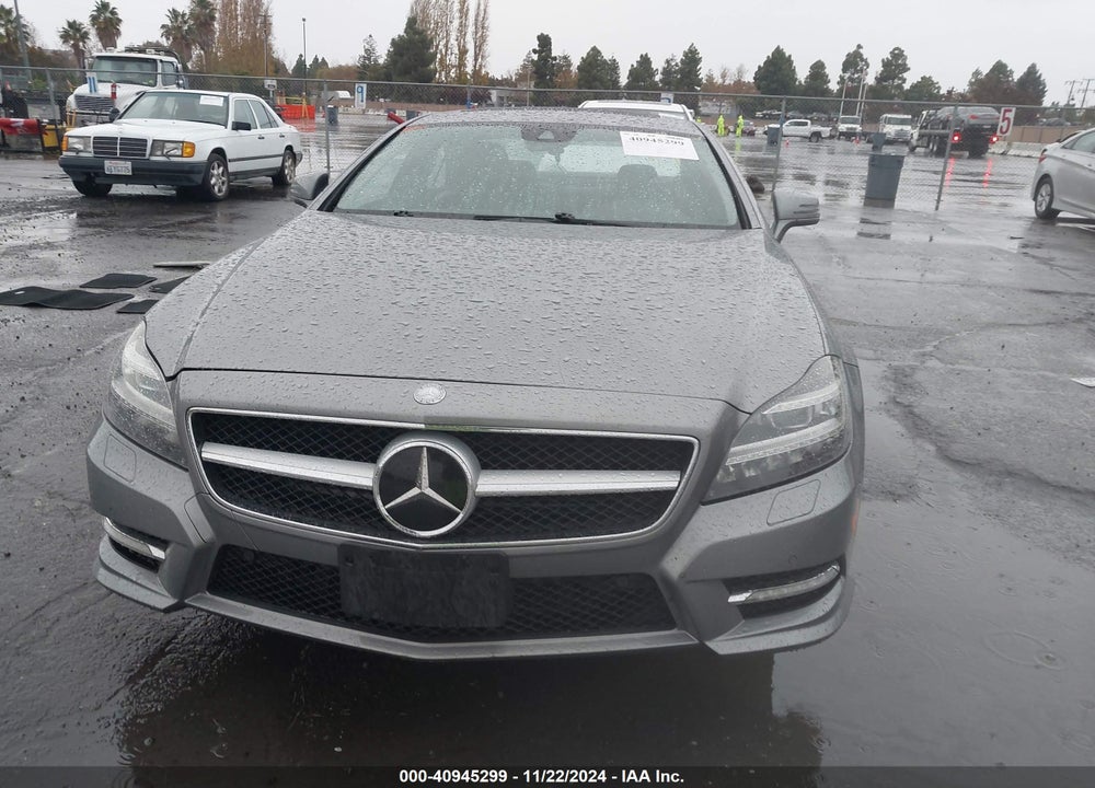 2013 MERCEDES-BENZ CLS 550 VIN: WDDLJ7DB0DA060218