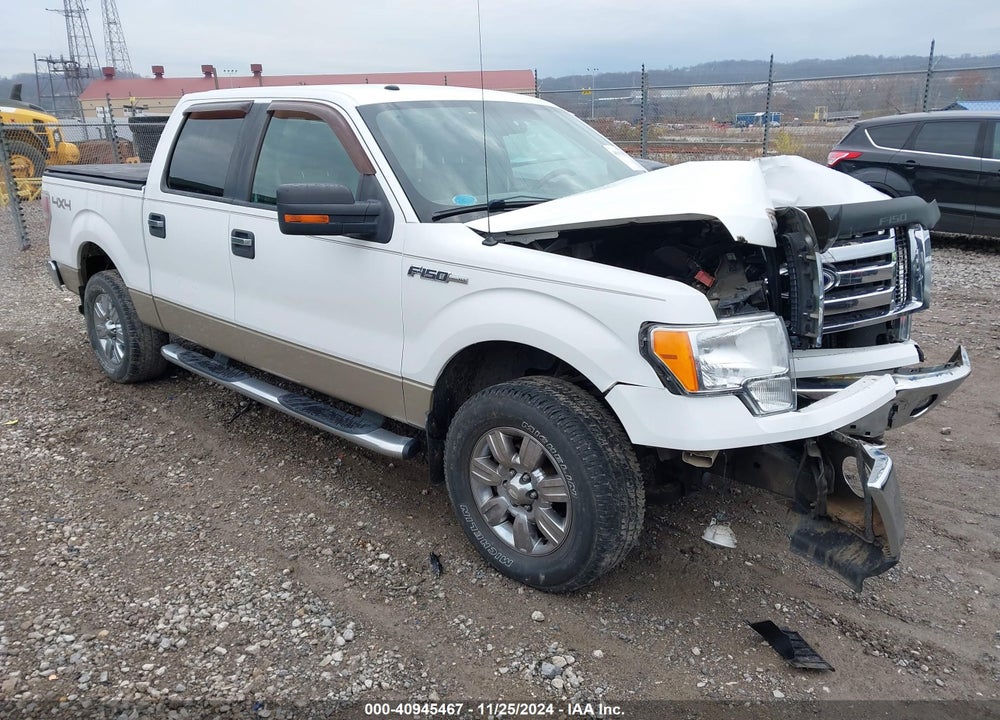 2009 FORD F-150 FX4/KING RANCH/LARIAT/PLATINUM/XL/XLT VIN: 1FTPW14V39FB05876