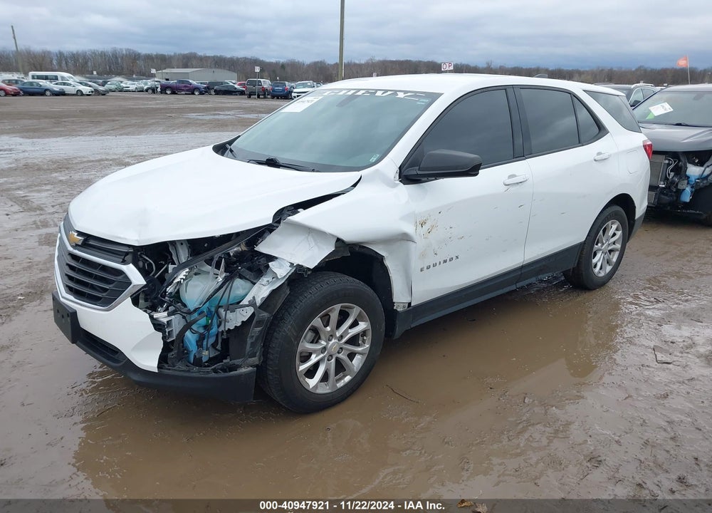 2019 CHEVROLET EQUINOX LS VIN: 2GNAXSEV9K6138251