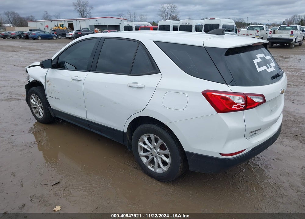 2019 CHEVROLET EQUINOX LS VIN: 2GNAXSEV9K6138251
