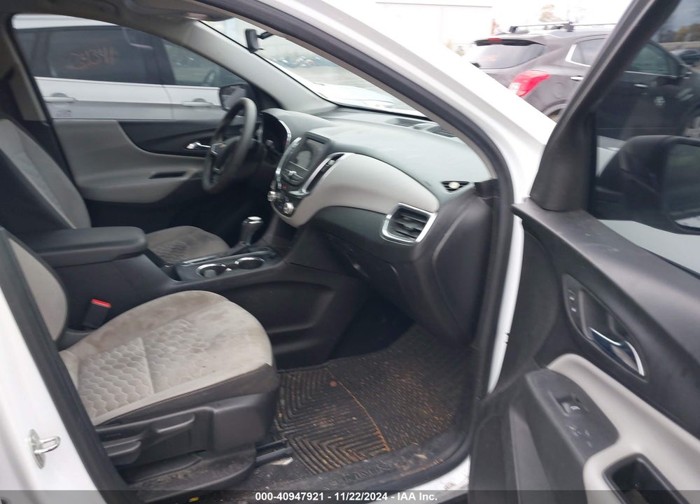 2019 CHEVROLET EQUINOX LS VIN: 2GNAXSEV9K6138251