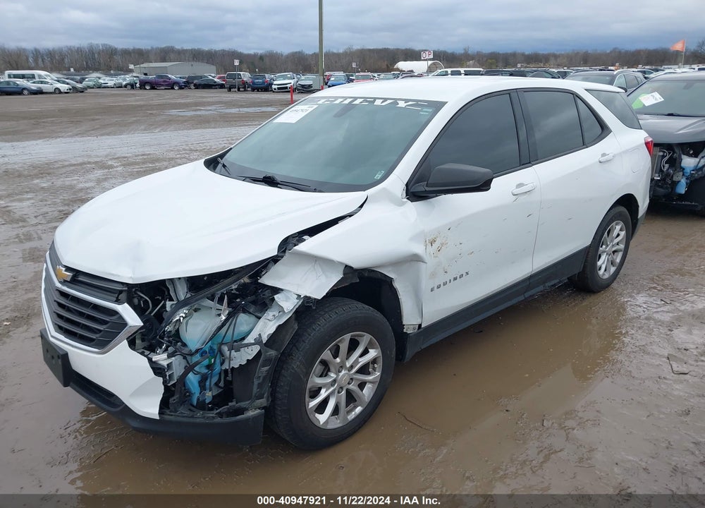 2019 CHEVROLET EQUINOX LS VIN: 2GNAXSEV9K6138251