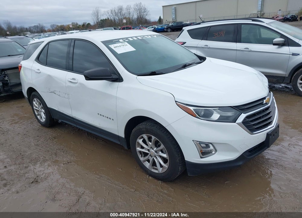 2019 CHEVROLET EQUINOX LS VIN: 2GNAXSEV9K6138251