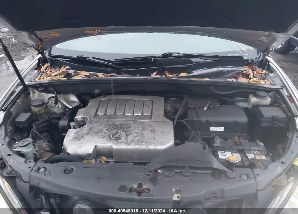 2009 LEXUS RX 350 VIN: 2T2GK31UX9C080451