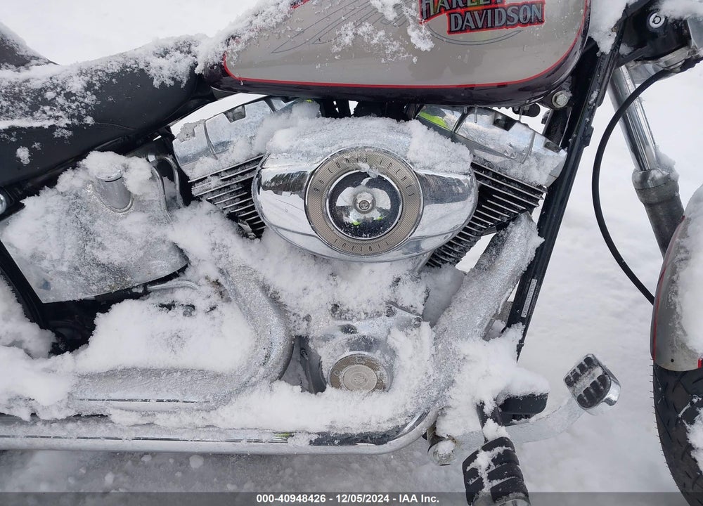 2007 HARLEY-DAVIDSON FXST CUSTOM VIN: 1HD1JL5117Y028081