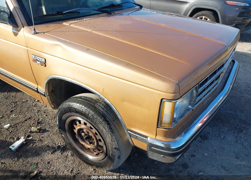 1987 CHEVROLET BLAZER S10 VIN: 1GNCT18R3H8144367