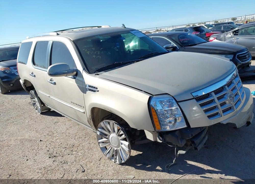 2009 CADILLAC ESCALADE STANDARD VIN: 1GYFK23229R289608