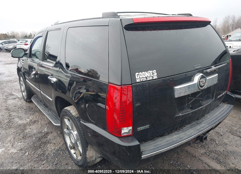 2010 CADILLAC ESCALADE LUXURY VIN: 1GYUKBEF6AR169337