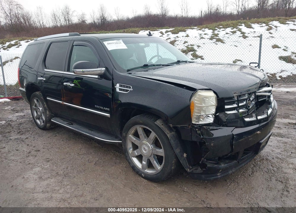 2010 CADILLAC ESCALADE LUXURY VIN: 1GYUKBEF6AR169337