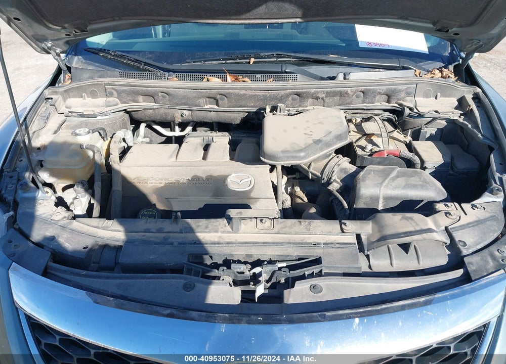 2010 MAZDA CX-9 SPORT VIN: JM3TB3MA4A0222917