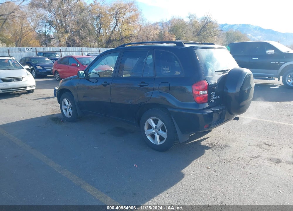 2004 TOYOTA RAV4 VIN: JTEHD20V246000286