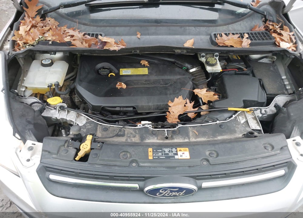 2014 FORD ESCAPE SE VIN: 1FMCU0GX0EUD10195
