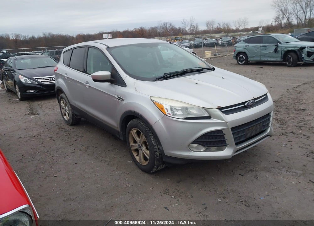 2014 FORD ESCAPE SE VIN: 1FMCU0GX0EUD10195