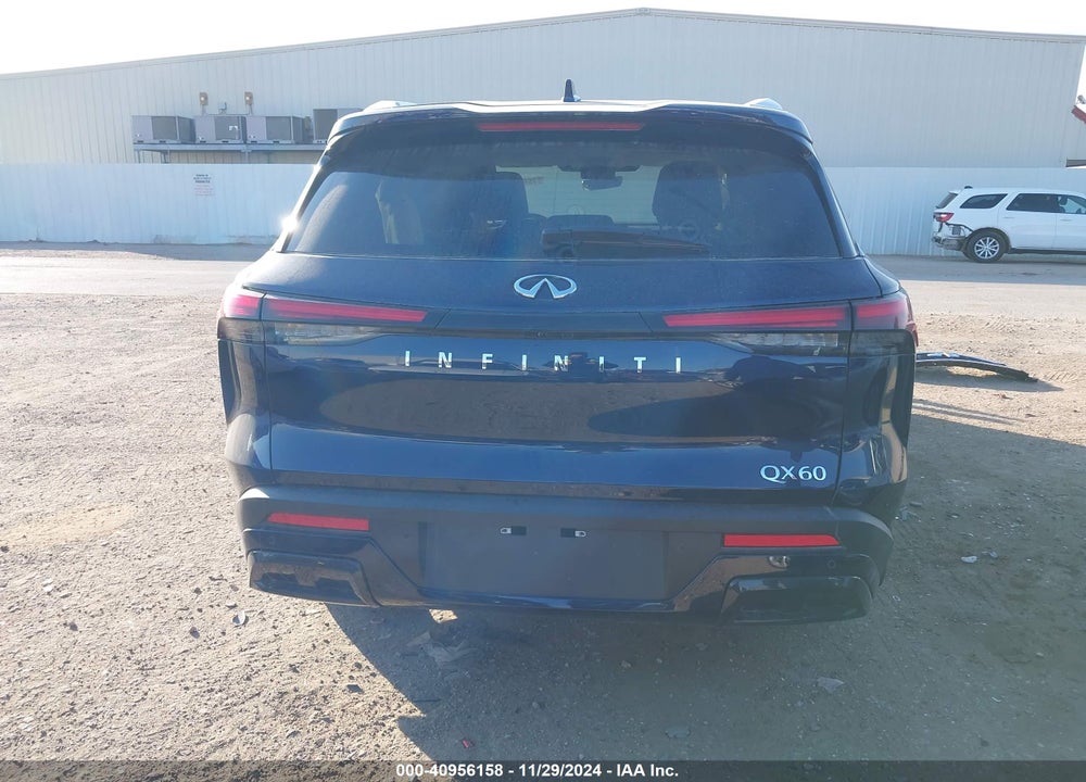 2024 INFINITI QX60 LUXE VIN: 5N1DL1FRXRC345659