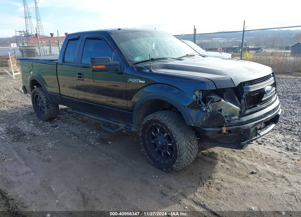2013 FORD F-150 FX4 VIN: 1FTFX1EF1DKE41557