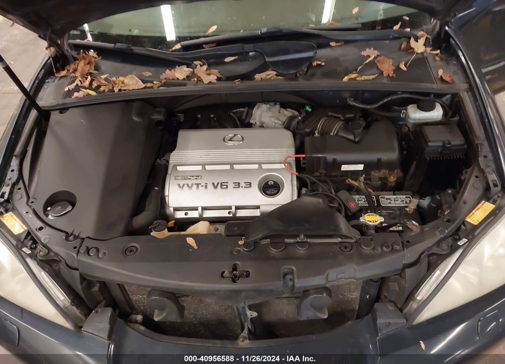 2006 LEXUS RX 330 VIN: JTJGA31U260065663