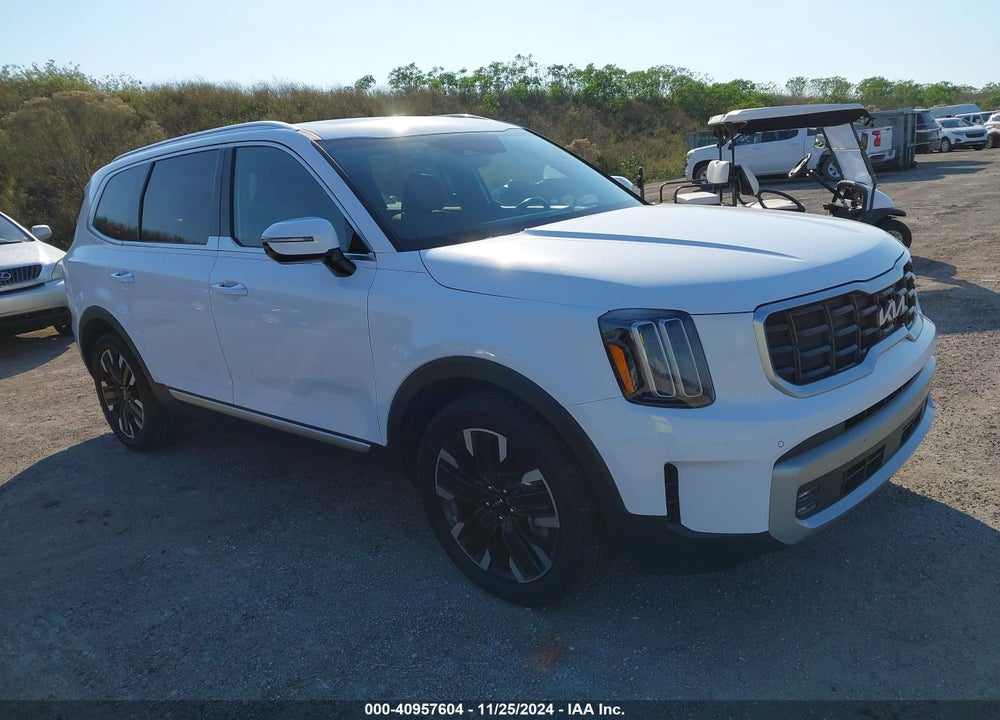 2024 KIA TELLURIDE SX PRESTIGE VIN: 5XYP5DGC6RG415676