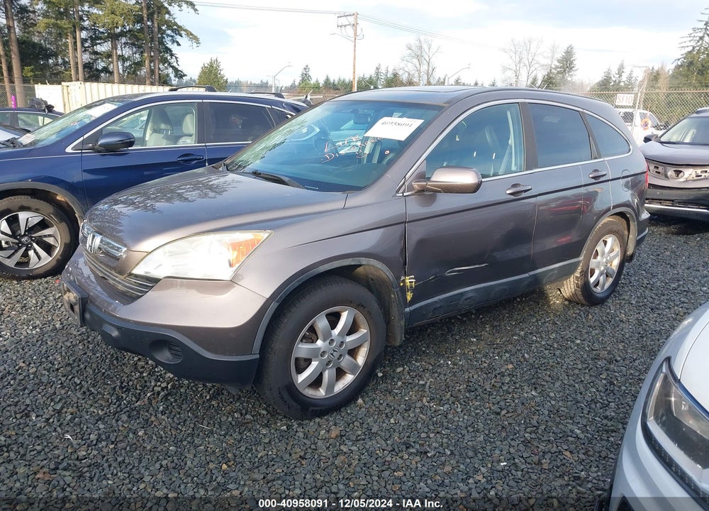 2009 HONDA CR-V EX-L VIN: 5J6RE48779L034573